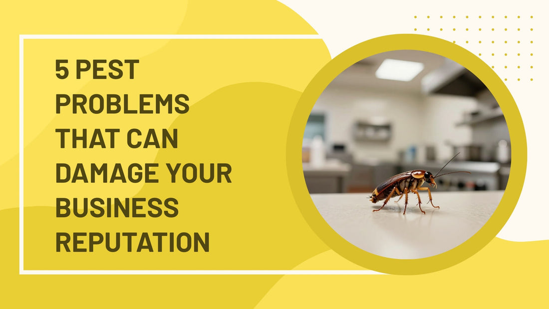 5 Pest Problems That Can Damage Your Business Reputation