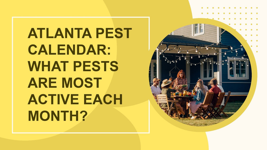Atlanta Pest Calendar: What Pests are Most Active Each Month