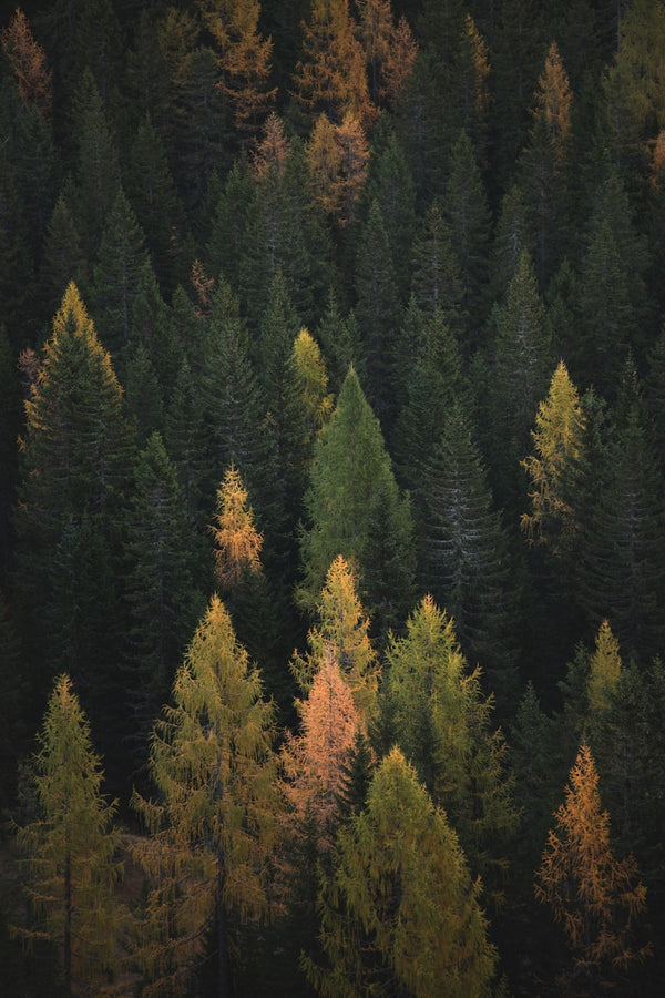 Seasonal Pressure